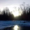Ирбис