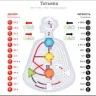 Татьяна84