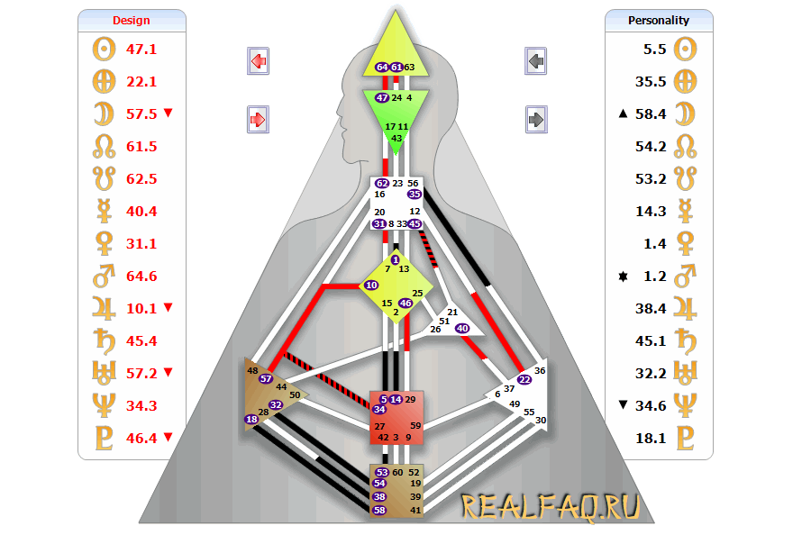 bodygraph-elizaveta.png