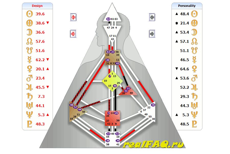bodygraph-ivaness-splenic.png