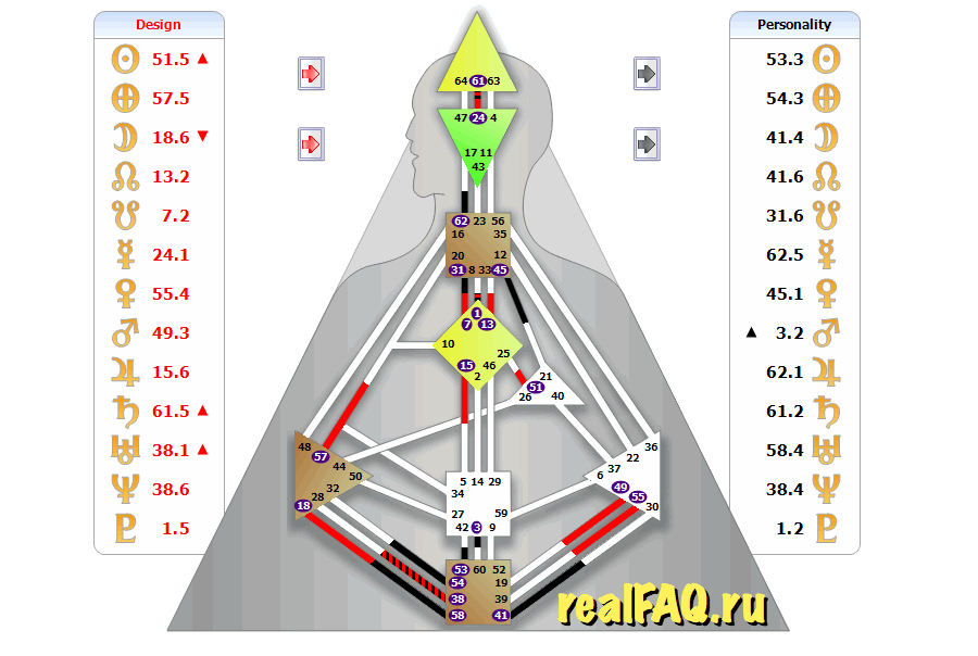 bodygraph-kosyachnik.png