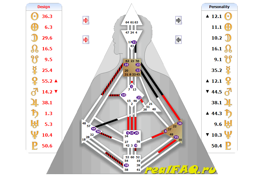 bodygraph-muzik-manifestor.png