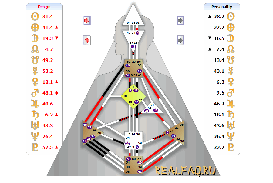 bodygraph-nelli.png