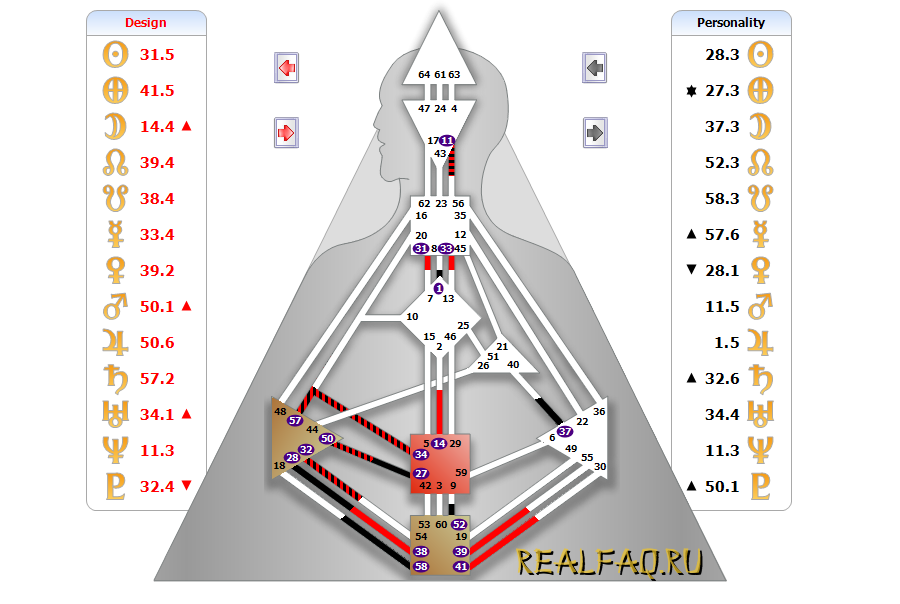bodygraph-qingwa.png
