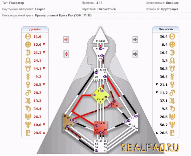 bodygraph-shmyach.png