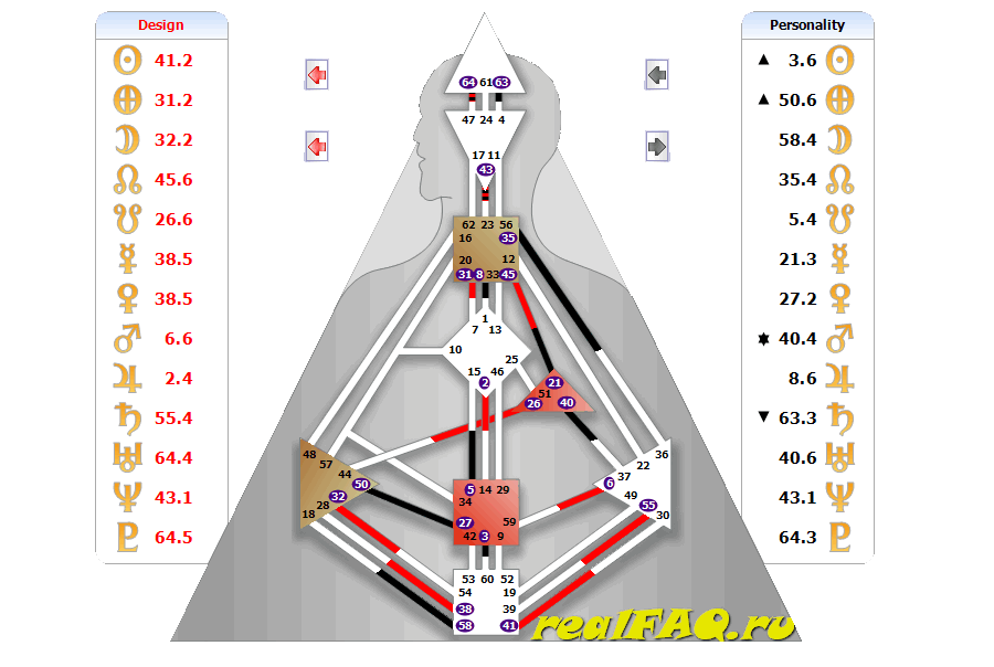 bodygraph-sis.png