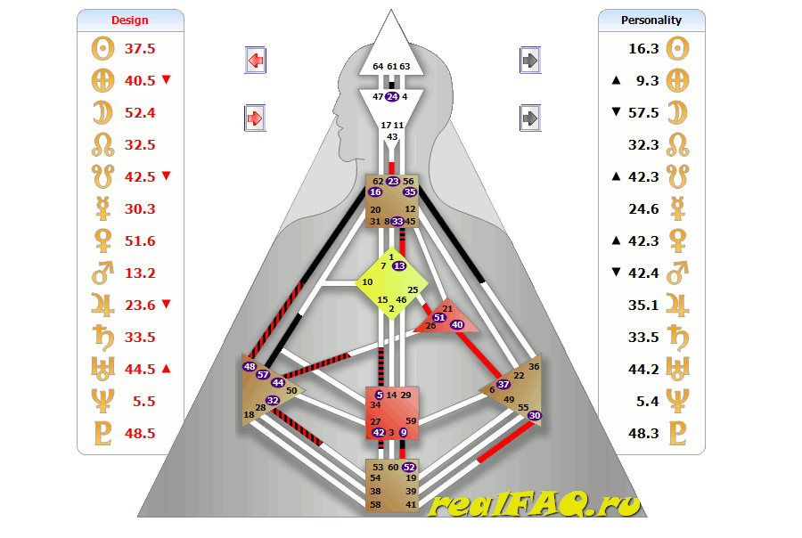 bodygraph-slonoslon.png