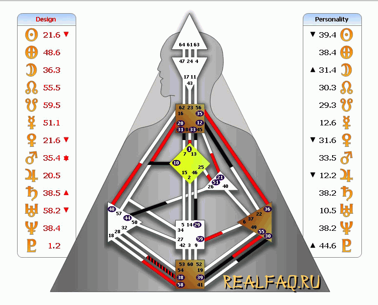 bodygraph-tasha-snake.png