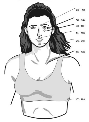 eft-3.jpg